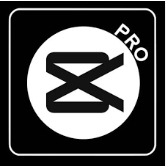 CapCut Pro
